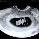 (주)이엘디씨 이미지