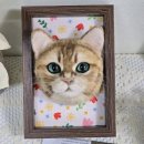 공촌사거리 아시아드경기장역 4번출구 건너편 | 반려묘 양모펠트 액자_호테_주문제작 후기