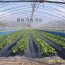 송하농장 이미지