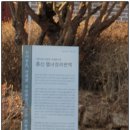 전주이씨 상원군 이세령가문 충신열녀정려편액 이미지