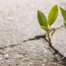 희망가득주유소 이미지