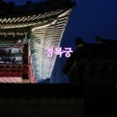 빛의 열주 | 경복궁 야간개장 시간 예매 관람 코스 비 오는 날 후기