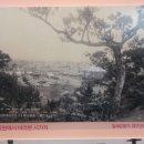조일탕 이미지
