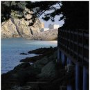 성산교회 앞 버스정류장 이미지