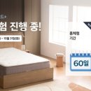 교원