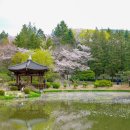 통기타(야) | 보문정 주변 포토스팟 산책 (보문호수, 스타벅스DT, 황룡원)