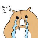 비아제주스테이 이미지