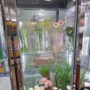 리빙시스 네이버블로그