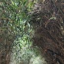 옛지산식당 이미지