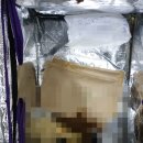 신선식품 이미지