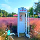 별빛공원(구평부영3단지 옆) 체육시설 | 경남 가을꽃 여행지 BEST6 : 낙동강 · 남강 · 고원 따라 피어난 가을빛 산책