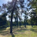 솔밭휴게소화장실 이미지