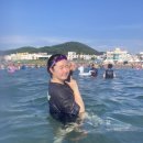 대풍회 이미지