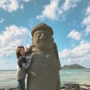 제주써니 이미지