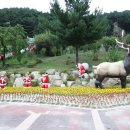 철암동 우체국 | 분천 산타마을, 봉화 협곡열차