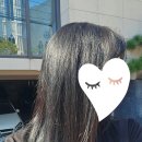 살롱드 바이 깁슨
