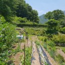 의곡초등학교 분교 이미지