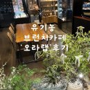 대구에 위치한 [유기농 브런치 카페 오라랩]에서 가족식사한 솔직후기(사과와인 리뷰포함)
