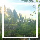 청전공원 주차타워 | 동탄호수공원 방문 후기 (주차타워,주차장,루나쇼,부대시설)