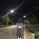 선학초등학교 내 | 인천 전동킥보드: 휠앤킥 인천점(승기천) 후기
