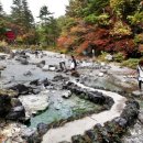 일등카박사 이미지