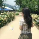 양지편길 이미지