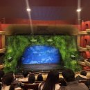 2385 | 센과 치히로의 행방불명 연극 예술의 전당 맛집 오페라극장 주차 3층 B블록 5열 시야 오페라글라스