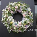 마녀손톱 이미지