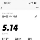 크로스핏 글라 이미지