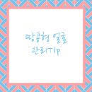 뷰리에