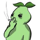마그누스