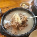 선정설렁탕 티스토리