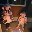 진북편백골관광농원캠핑장 | [진북편백골캠핑장]