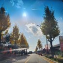 오삼슈퍼 | 영주 현지인 맛집 오삼불고기 맛난 흥주식당