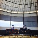 유성승마장 이미지