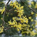 제이그랜드 이미지