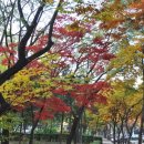 목동동로2길 이미지