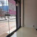 빵실하개 이미지