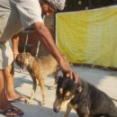 도그마루 강아지고양이 의정부노원점 이미지