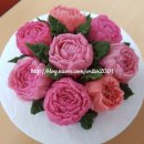 괴정1동-3 이미지