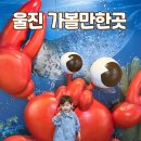 꽃사슴어린이공원 | 울진 여행 아기랑 가볼 만한 곳 국립해양과학관 왕피천공원 아쿠아리움 후기