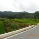 금곡양계장 이미지