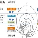 문학치료의 상보적 심신통합치유 모델 이미지