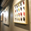 CAFE THE DOG 이미지