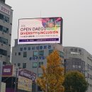 대구역네거리 교통섬 네이버블로그