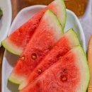 더 해담은 이미지