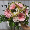 화훼장식 기능사 티스토리