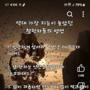이대표정육