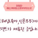 아벨로청담점