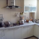 동성체육관 이미지